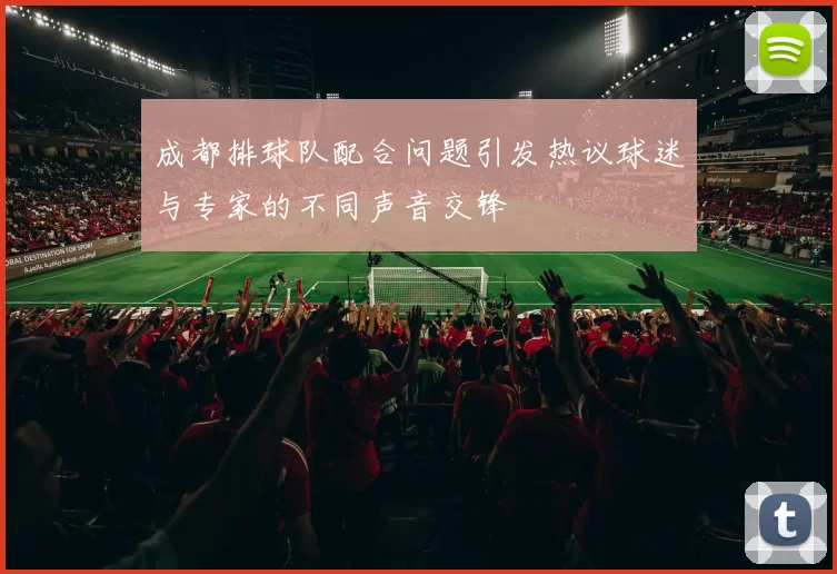 成都排球队配合问题引发热议球迷与专家的不同声音交锋