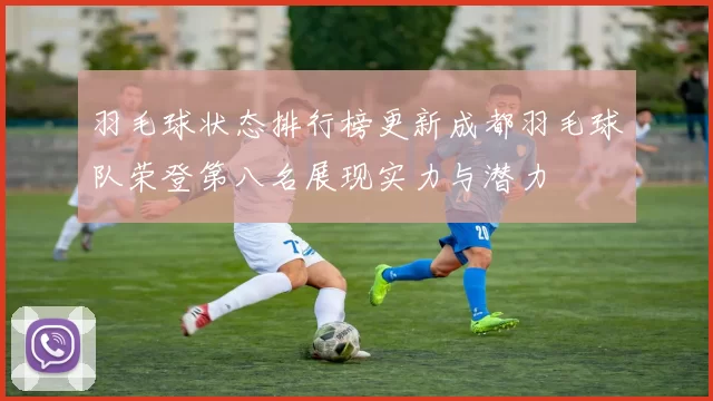 羽毛球状态排行榜更新成都羽毛球队荣登第八名展现实力与潜力