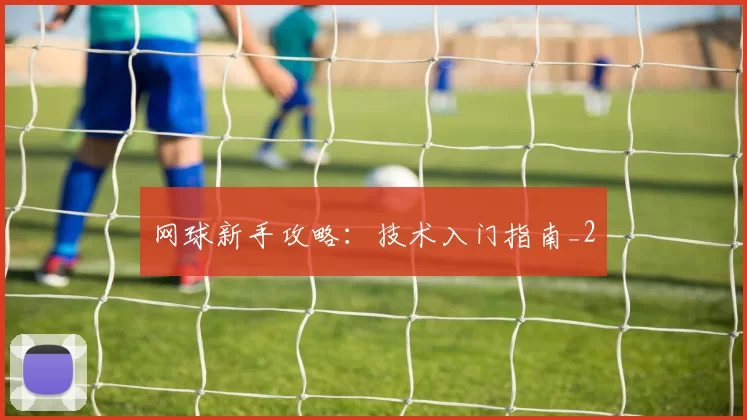 网球新手攻略：技术入门指南_2