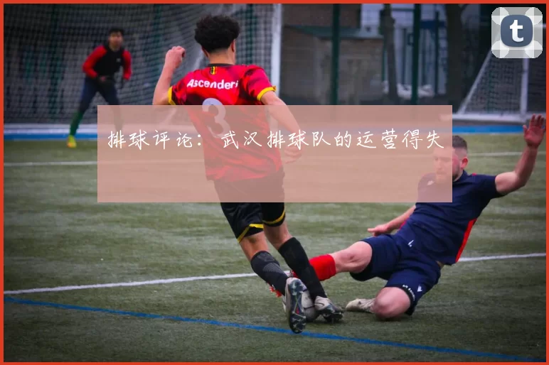 排球评论：武汉排球队的运营得失