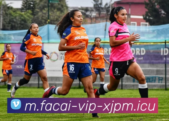 米兰体育平台生态图